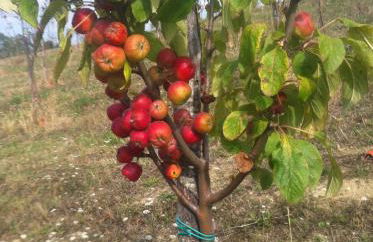 Agriturismo SPA Serpanera - Photo 62