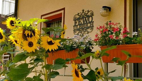 FeWo Ulbrich Langenstadt - Foto 2