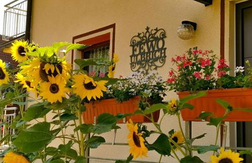 FeWo Ulbrich Langenstadt - Foto 2