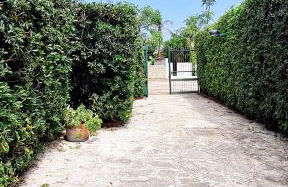 Villa Aeonium - Foto 54