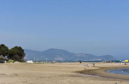 Sofia Mare - Foto 40