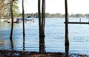 Lazy at Lake - Foto 1