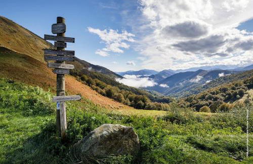 Maison située au Val de Baubère, petite vallée à coté du village de Seix - Foto 38