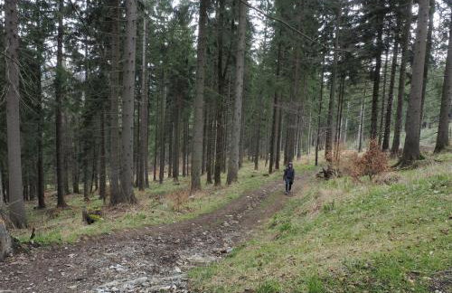 Apartament BOHO DOM Stronie Śląskie - Foto 23