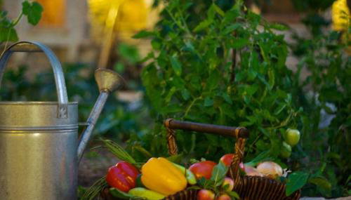 Eleni's Stately Home, picturesque location, By ThinkVilla - Foto 5, Garden