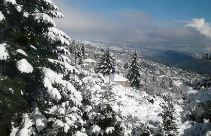 Elatos cozy Studio - Foto 18