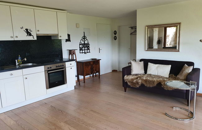 Panoramaferienwohnung Waldkircher - Foto 8