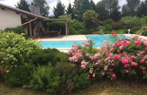 Les Oliviers - Foto 1