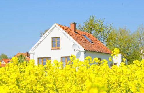 Historisches Inselhäuschen - Surfer/Kiter/Familien - Foto 2