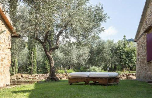 Agriturismo Podere Valdo - Foto 14