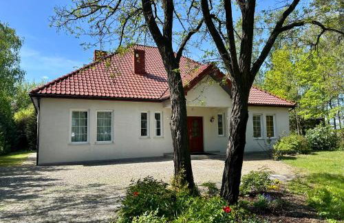 Villa Otolice obok Łowicza, 6 sypialni, balia, sauna, basen, snooker, 50 minut od Warszawy i Łodzi - Foto 1