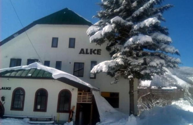 Rental Lodge WHITE RABBIT Madarao kogen Cottage ALICE - Photo 1