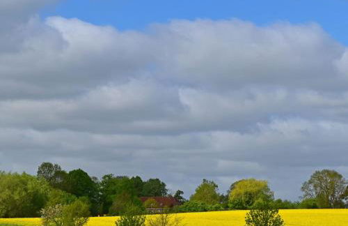 Ferienwohnung im Gutshaus Schulenbrook - Foto 9