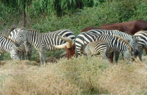 La Maison CANTHEZ Wifi - Foto 55