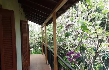 Ideal Cottage Holidays-Ιδανικές Εξοχικές Διακοπές - Foto 6