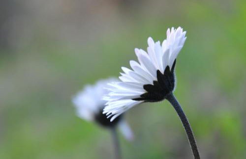 Agriturismo Natta Di Monte Tabor - Foto 26