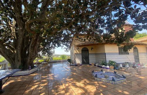 Rustic charm, Olivo Suite with private bathroom and unique views - Foto 9