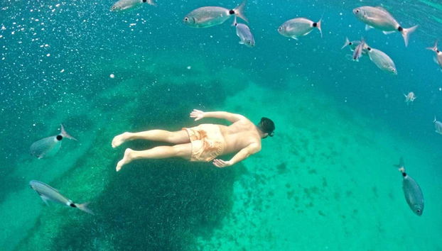 Faites du snorkeling