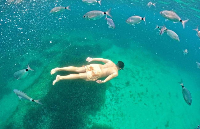 Snorkeling dans le parc naturel de Porto Conte - Photo 4