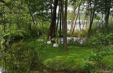 Bolek Lolek Domki Apartamenty - Foto 26