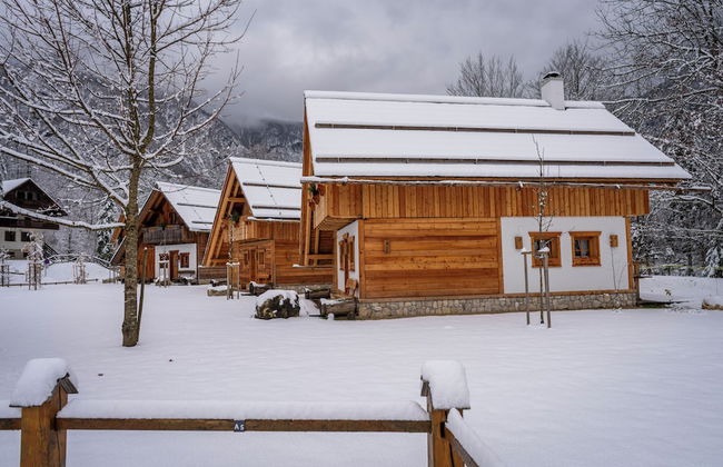 ALPIK Chalets - Bohinj - Foto 47