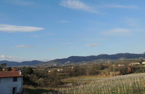 Il Chicco apartment - Foto 36