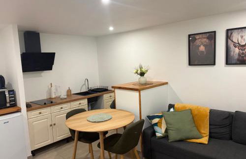 Ariège, appartement avec jardin en bord de rivière - Foto 19