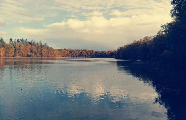 Holiday Home Mantinge Near Nature Reserve - Foto 40