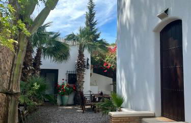 La Washingtonia - Foto 24