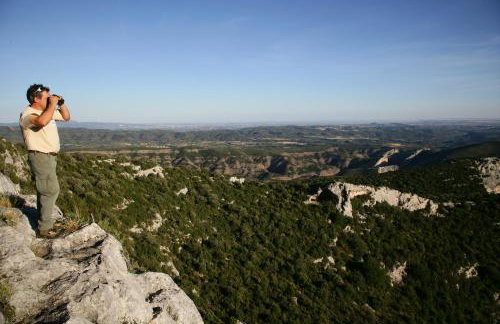 Apartamentos Casa Sanz - Foto 31