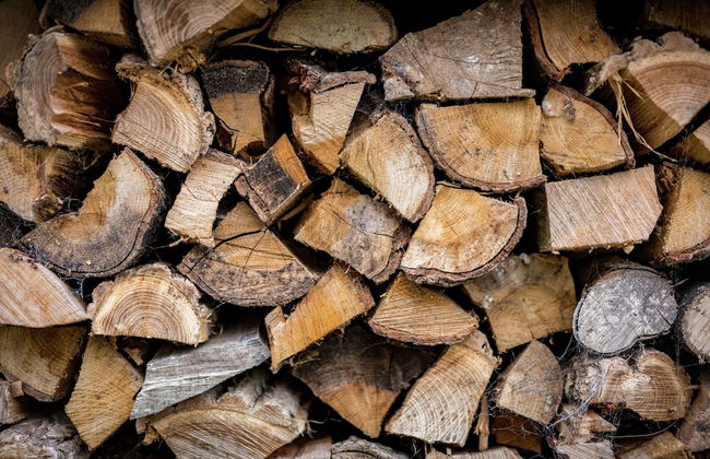 Cozy Holiday Home with Hot Tub in Lauwersoog by Lake - Foto 23