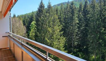 Ferienwohnung Tannenballett mit Panorama über den Schwarzwald in Baiersbronn - Photo 3
