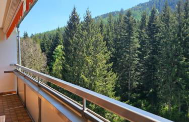 Ferienwohnung Tannenballett im Schwarzwald - Foto 16