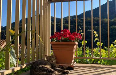 La Corbula - Casa Vacanze - Q5992 - Photo 3