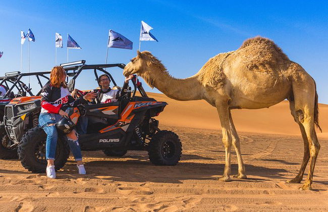 Tour di due ore Desert Explorer con dune buggy Polaris per due persone - Foto 11