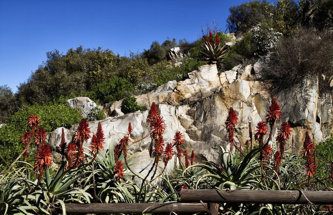 Kogman and Keisie Guest Farm - Foto 57