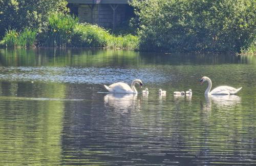 Lakeside Lodge 84 - Photo 19