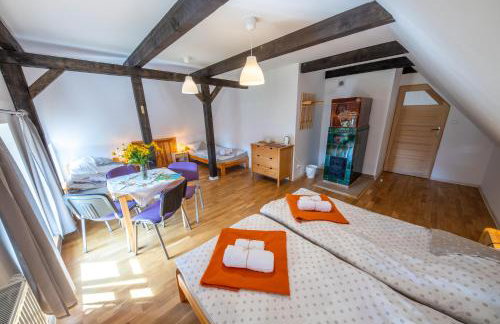 Żywkowo Bocianie Gospodarstwo Rolne - Foto 11