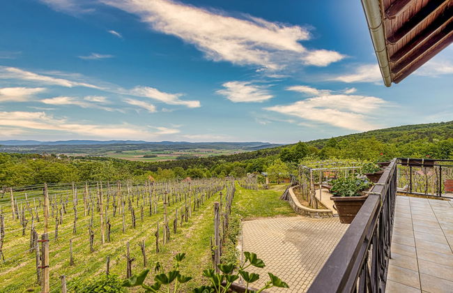 Vineyard Homestead Vrtin - Foto 31