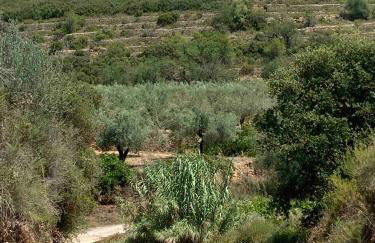 Casa de Olivos - Unique Apartments - Adult Only - Foto 21