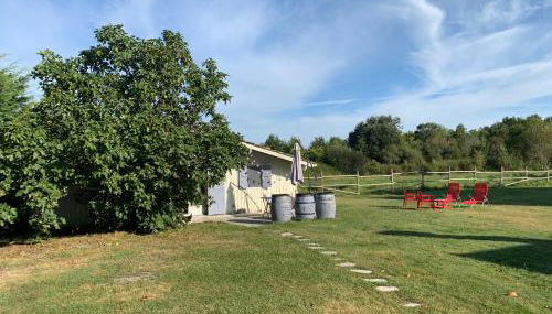 Gîte indépendant entre vignes et océan - Foto 4
