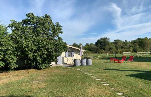 Gîte indépendant entre vignes et océan - Foto 4