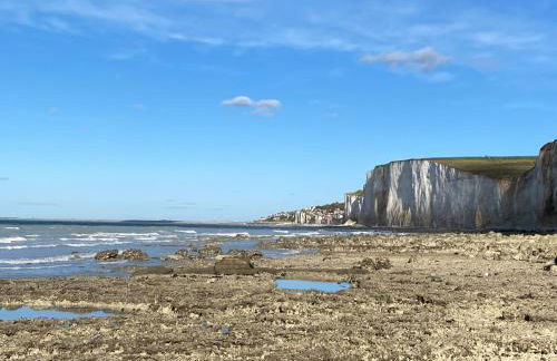 L'Olivier en Baie, T3 de standing avec jardin, vue baie, parking privé - Foto 48