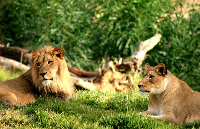 Go City Philadelphia Explorer Pass - Foto 5