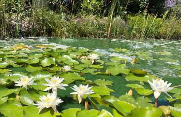 VIP Appartement - Foto 47