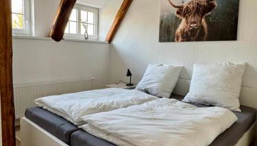 Robbe beim Ochsenturm am Deich - Foto 1