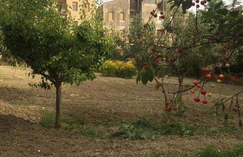 LA CALANDIVA DEL CONERO - Foto 14