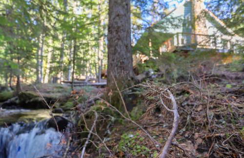 Snow Shire Cabin - Meredith Lodging - Foto 58