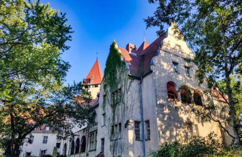 Całoroczny Domek Boho Lubniewice jezioro jacuzzi - Foto 59