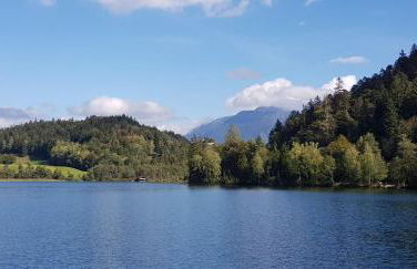 Alpina Inzell Wohnung 454 - Foto 35